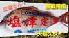 【定置もん】天然大ダイ「○本日のお刺身○【しまね定置もん！】天然大ダイ、コシナガマグロ」