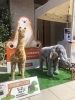ひのきやＺＯＯ「ひのきやＺＯＯ」