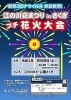 「カヌー公園で花火大会が行われました」