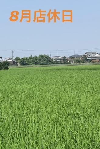 「8月店休日のお知らせ」