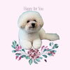 「Dog salon mofu mofu　余市町」