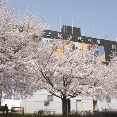 上平公園｜上尾市