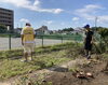 小池会長と斉藤さん「【センター北のうんち薬局 漢方ハタ薬局～薬局の前の公園にひまわりが～下痢 ・便秘・腰痛・膝痛・ 坐骨神経痛・自律神経・睡眠・後鼻漏・片頭痛・生理痛・うつ・不安 漢方相談 都筑区」