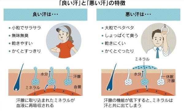 汗にも悪い汗と良い汗があります「ベタベタ汗は体調不良の原因に　女性専用24時間ジムのアワード八王子　税込4,950円」