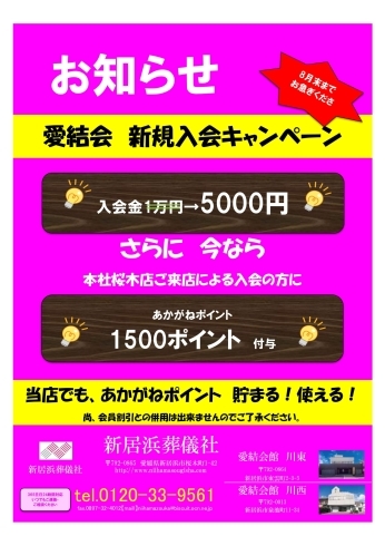 期間限定チラシ「8月末まで、入会金が5000円！」