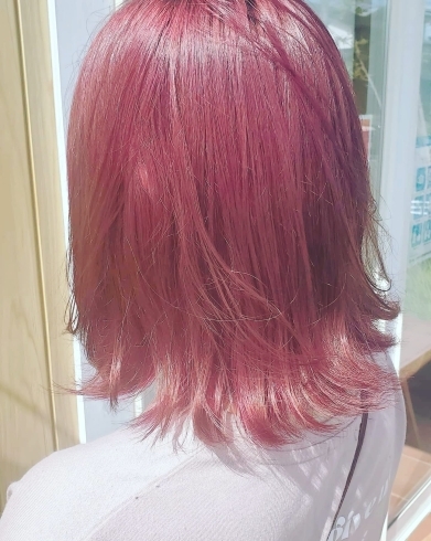 「ピンクヘアー」