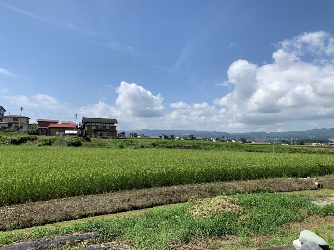 2020年のお盆休みは、田舎の風景に癒されました！「2020年お盆休み☆【田舎で英気を養いました！】@新潟市の整体」