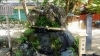 不二の水「【編集部ニュース】おいしい伏水の旅（vol.1）　@藤森神社」
