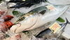 「西海物産館　魚魚市場鮮魚コーナーおすすめ商品は「天然ぶり・サザエ」です♪」