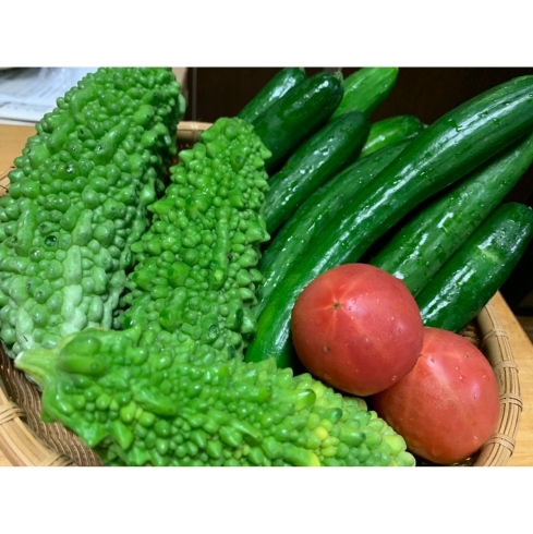 酵素野菜「酵素のチカラ☆で美味しい夏野菜！」