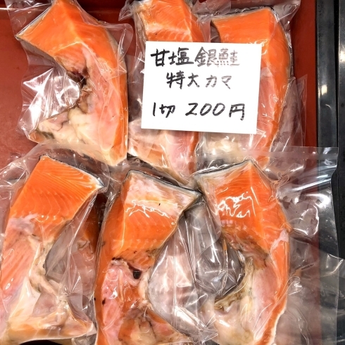 特大鮭カマ「特大　鮭カマ始めました！★【新潟市西区のカニ屋！】」