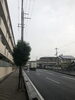 「晴、時々ゲリラ豪雨！」