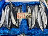 「サンマが入荷しました！」