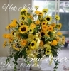 お誕生日にヒマワリだけのアレンジメントフラワー「【はなやホック皆生店】秋の花贈り」