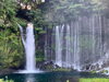 「9月水曜休診日のお知らせです！」