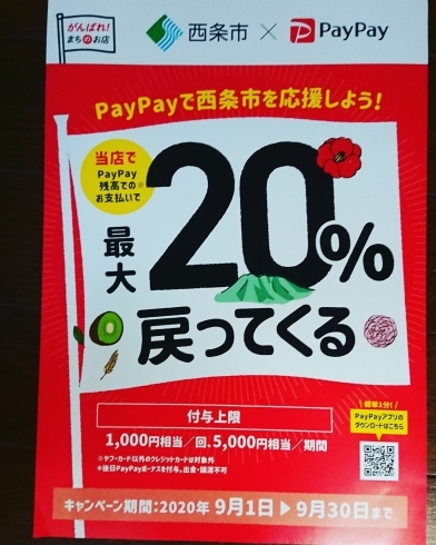 「PayPayキャンペーン始まりました！」