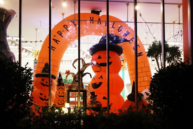 ２店舗とも9/19（土）から開催いたします！「2020ハロウィン祭開催決定！」