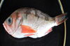 「９月０２日　本日のおすすめ品！！」