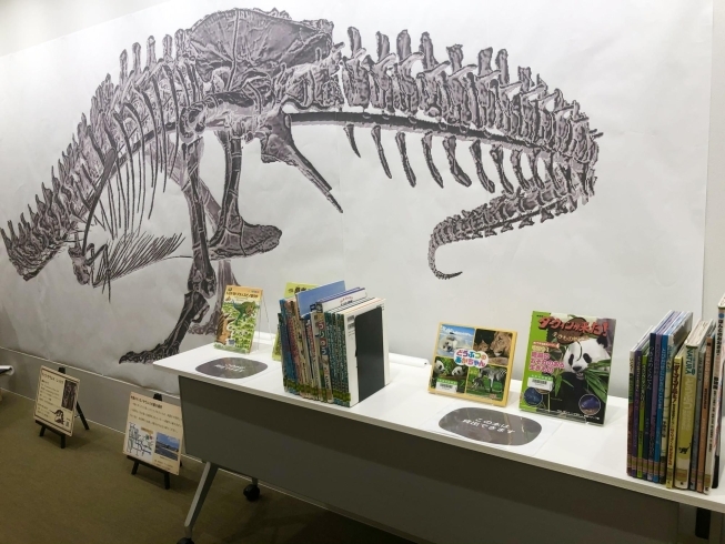 恐竜や動物の関連図書も！「海南nobinosで「飛び出す3D図鑑」開催！」