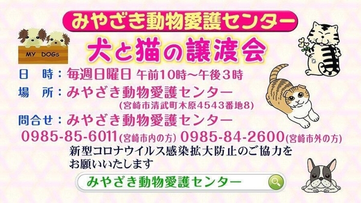 「みやざき動物愛護センター 犬と猫の譲渡会」