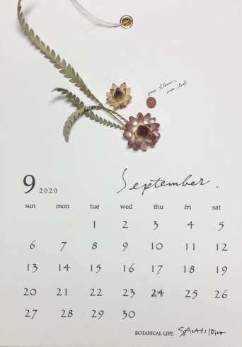 「☆ 9月のお花カレンダー ☆」