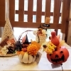 ハロウィングッズ入荷しました Douce デゥース のニュース まいぷれ 江戸川区