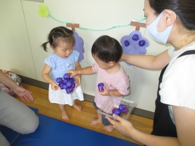 巨峰　どうぞ～♪「今日は「こあら組」がありました！」