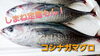 「○本日のお刺身○【しまね定置もん！】コシナガマグロ【島根県産】天然タイ」