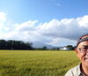 刈り取り間近の田んぼ「週末の営業についてお知らせいたします。」