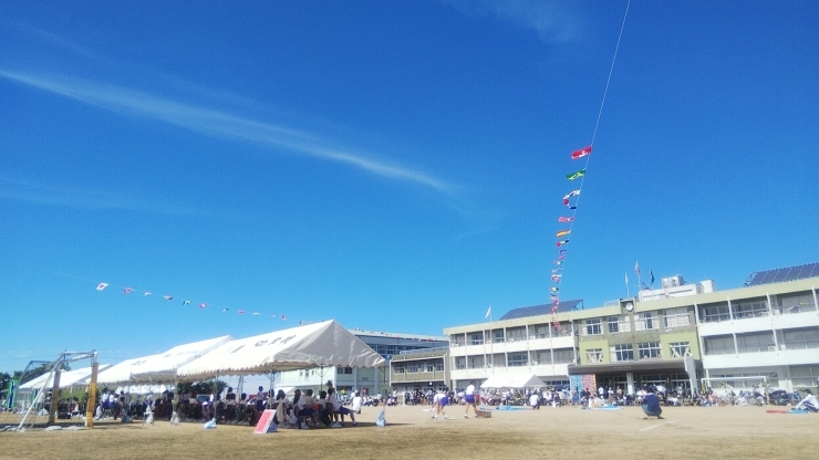 運動会「運動会がありました(=^ェ^=)」