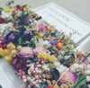 ドライになってもかわいい花たち「大事に育てたドライフラワー」