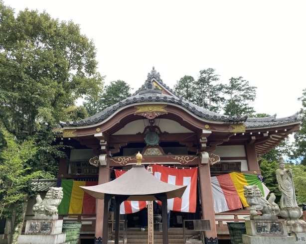 「《大鱗山雲洞院天龍寺 子ノ聖大権現参り》」