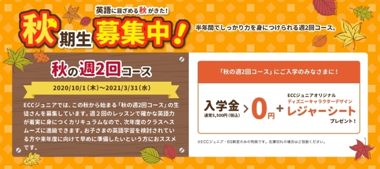 Eccジュニア 秋から週二回で年間カリキュラムを学ぶコース募集 健康 子育て 生涯学習サークル W Projectのニュース まいぷれ 札幌市西区