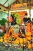 大自然の恵みを楽しむ ハイジの村 ハロウィンと収穫 ハロウィン特集 まいぷれ 甲府市 昭和町