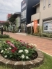 植え替え完了「お花の植え替え完了しました！」