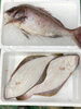 「デカすぎる！鯛が入荷しました！」