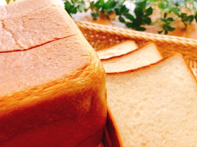 大山の恵み食パン「APLICOのこだわり食パン「大山の恵み」♡　毎週土曜日のみ限定販売！予約受付中（＾o＾）」