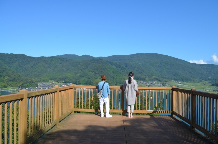 「本日は散歩日和です。記念公園でお散歩はいかがですか？」