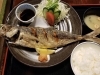 「9月23日(水) 一魚一会のおすすめランチは「鯵唐揚げ」です♪」