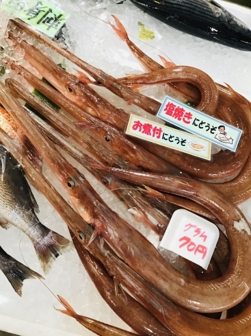 「西海物産館魚魚市場鮮魚コーナーのおすすめ商品は「やがら」です♪」