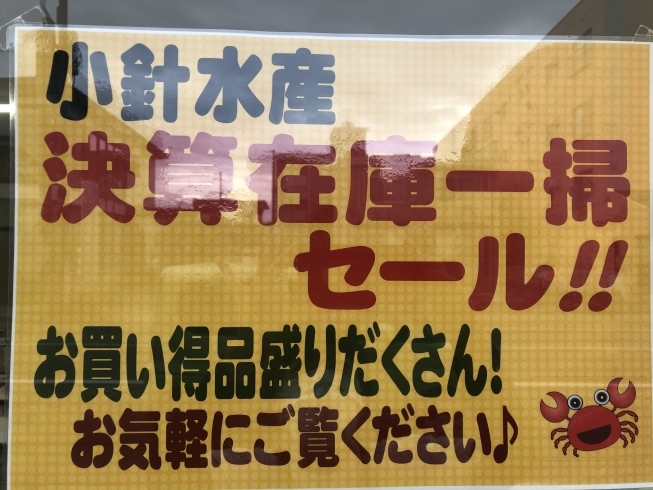 在庫一掃セ－ル「決算在庫一掃セ－ル開催中です！★【新潟市西区のカニ屋！】」