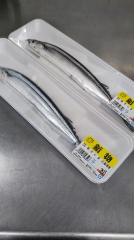 新さんま　北海道産　350円「本日のおすすめ品【桂の鮮魚店　桂魚伊】」