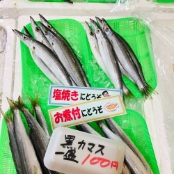西海物産館 魚魚市場のおすすめ商品は 赤カマスと黒カマス です 魚魚の宿のニュース まいぷれ 佐世保