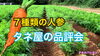 「【栽培試験】人参の追肥から土寄せ　タネのハシモト」