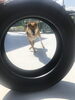 看板犬Been!!「今日は看板犬Beenのご紹介♡【タイヤの事。車の事。何でも土居町の鍋ゴムへ！】」
