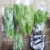 「今週の朝どり野菜詰め合わせ」