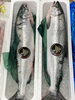 「羅臼産の鮭『銀皇』が入荷しました！」