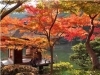 紅葉渓庭園(紅葉の見ごろ時の写真)「これからの季節のお楽しみ！紅葉スポット紹介❣【紅葉渓庭園】」