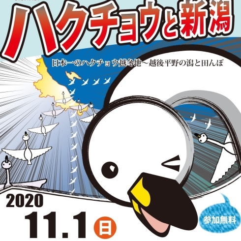 「11月1日開催！「福島潟シンポジウム2020　ハクチョウと新潟」　明日10月7日より参加申込受付開始します」