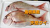 「○本日のお刺身○【島根県産】天然ブリ、天然タイ」